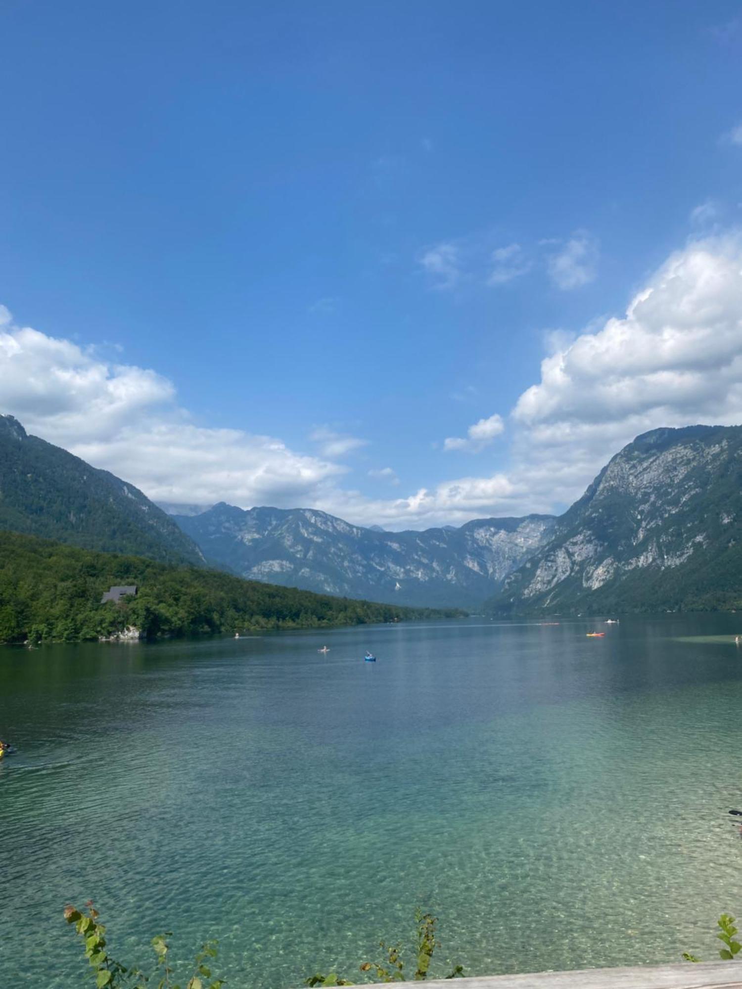 Apartmán Mountain View In Triglav National Park Bohinj Exteriér fotografie